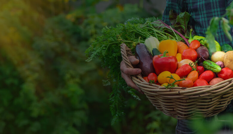 Agriculture Conference Harvest 2020 in Parisat rue corruti auos